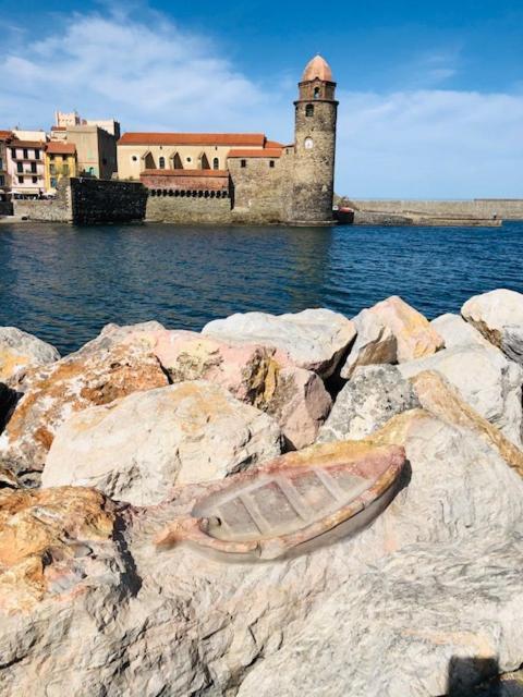Appartement Dans Le Quartier Recherche Du Moure Collioure Eksteriør billede