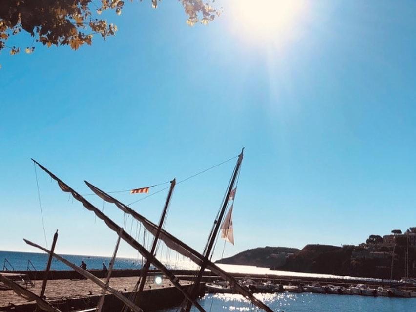 Appartement Dans Le Quartier Recherche Du Moure Collioure Eksteriør billede