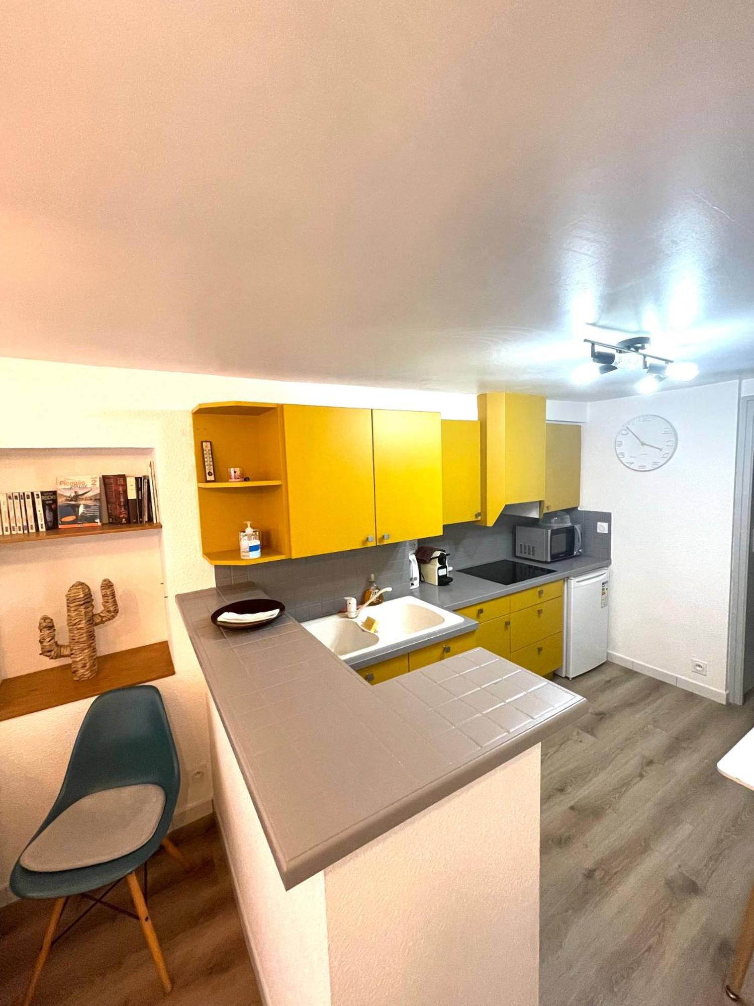 Appartement Dans Le Quartier Recherche Du Moure Collioure Eksteriør billede