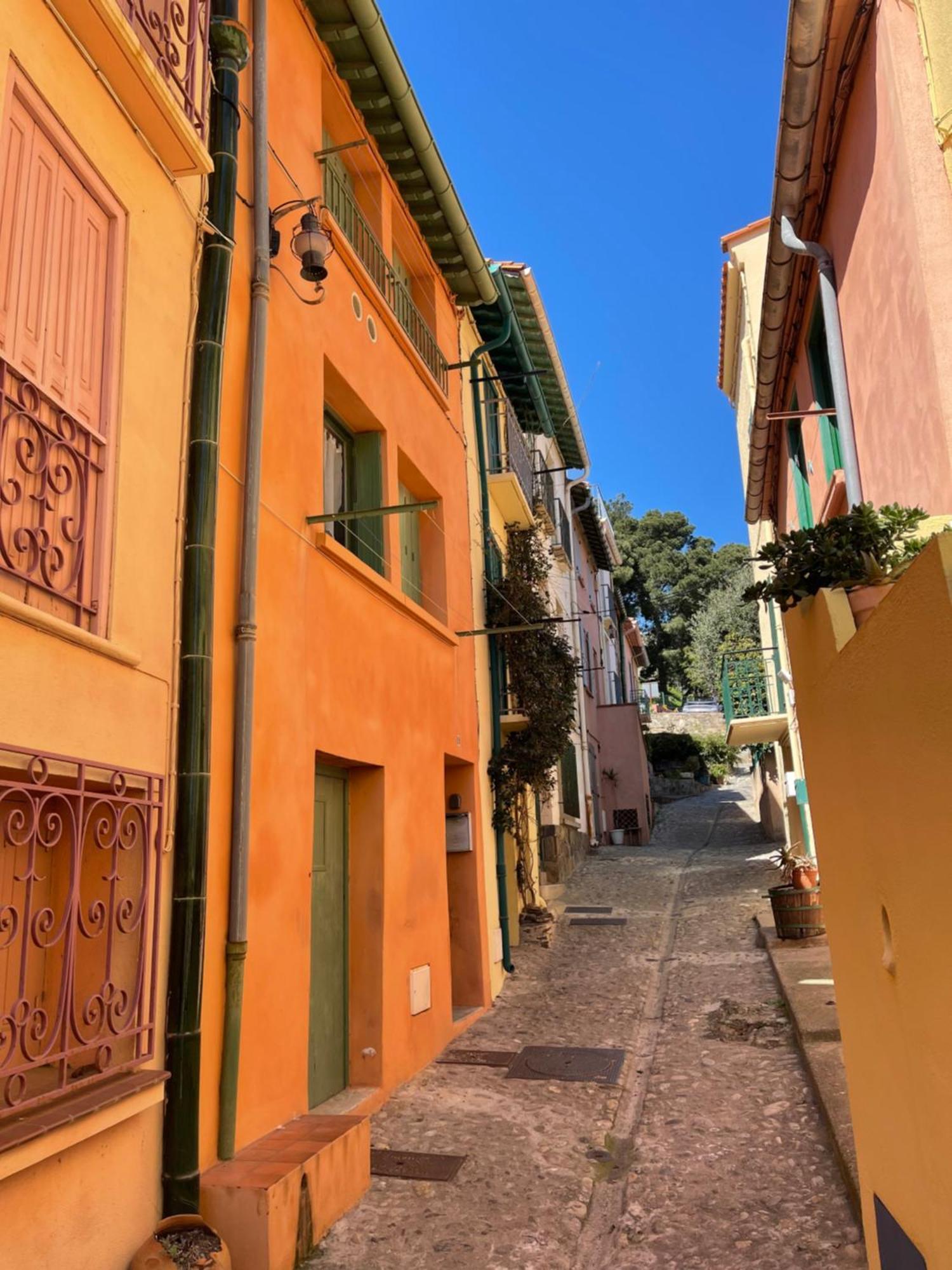 Appartement Dans Le Quartier Recherche Du Moure Collioure Eksteriør billede