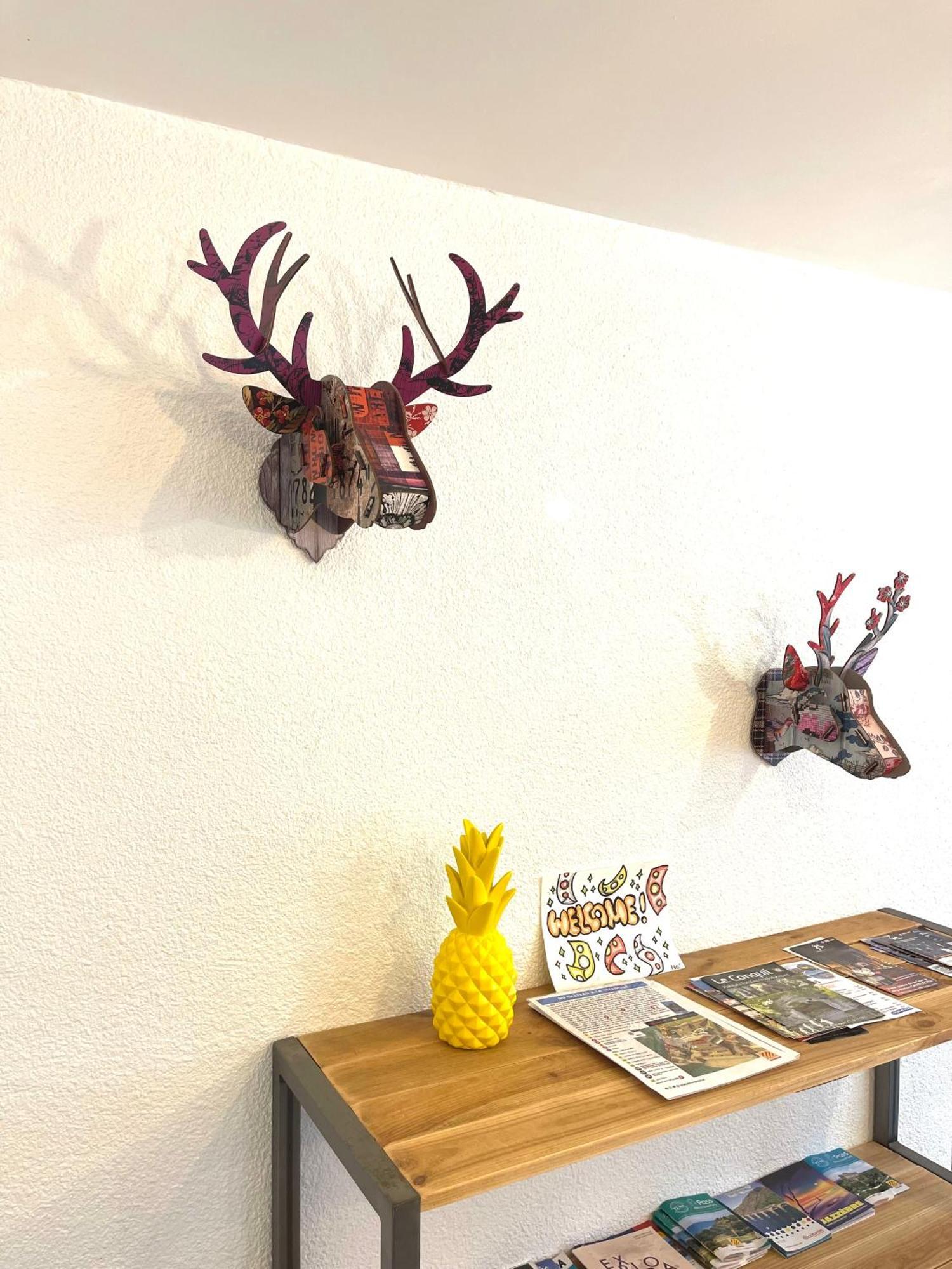 Appartement Dans Le Quartier Recherche Du Moure Collioure Eksteriør billede